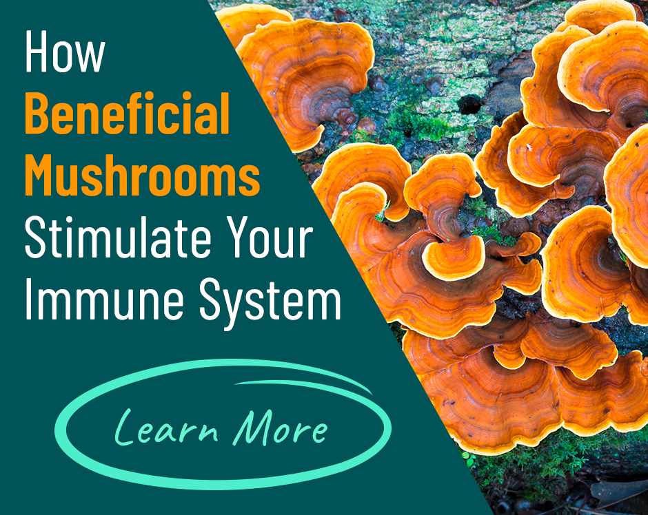 7M fermented mushroom supplements
